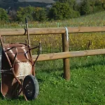 Alloggio per agriturismo La Cerreta Rocca San Casciano