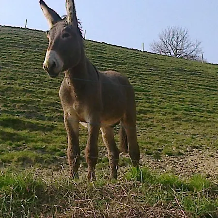 La Cerreta