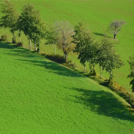 La Cerreta