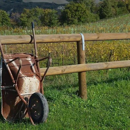 ファームステイ La Cerreta Rocca San Casciano