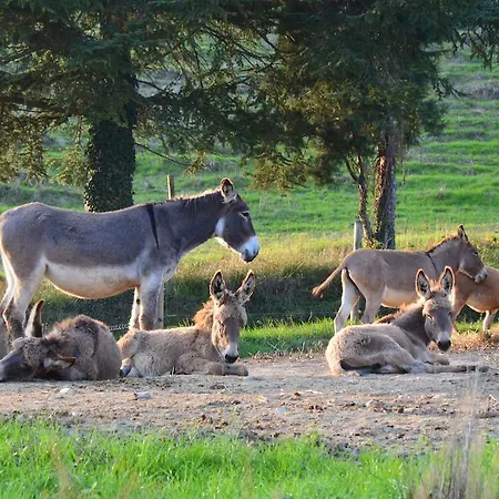 Bauernhof La Cerreta Rocca San Casciano