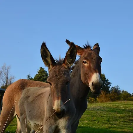 Bauernhof La Cerreta Rocca San Casciano