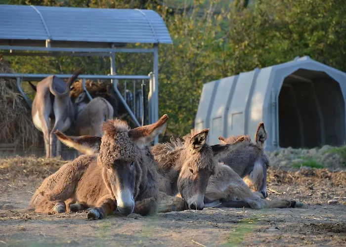 Çiftlik konaklama La Cerreta Rocca San Casciano