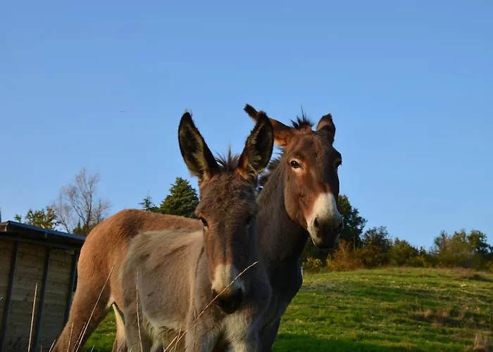 Çiftlik konaklama La Cerreta Rocca San Casciano