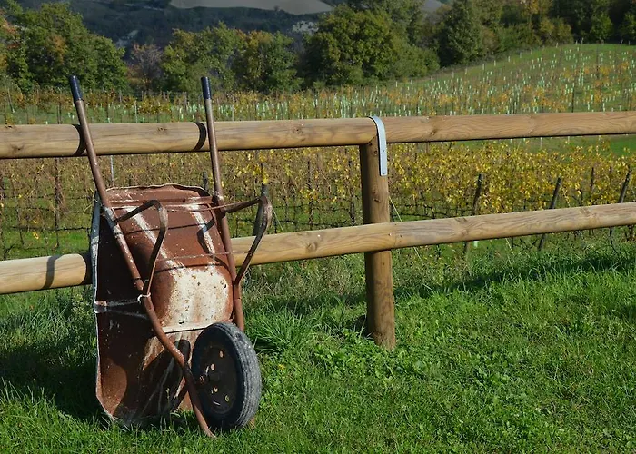 Çiftlik konaklama La Cerreta Rocca San Casciano